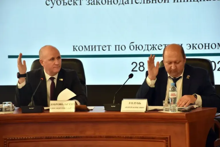 Депутаты ЕАО ввели новую меру поддержки сирот — участников СВО