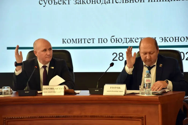 Депутаты ЕАО ввели новую меру поддержки сирот — участников СВО