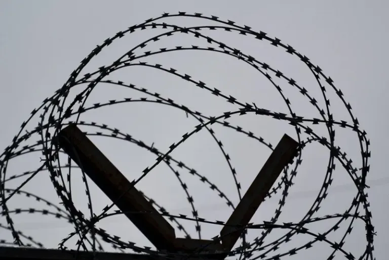 Жительница ЕАО получила 3,5 года колонии за покупку наркотиков